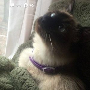 Meet your Posher, Lynn